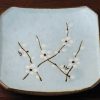 Square 5.25" Cherry Blossom Plate